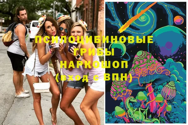 наркотики Новозыбков