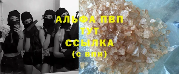 стафф Нефтегорск