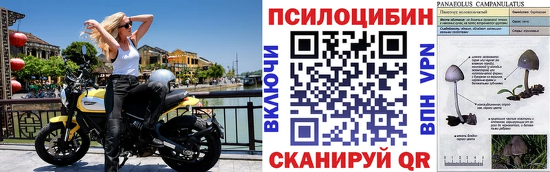 Псилоцибиновые грибы прущие грибы  Купить  Агидель 